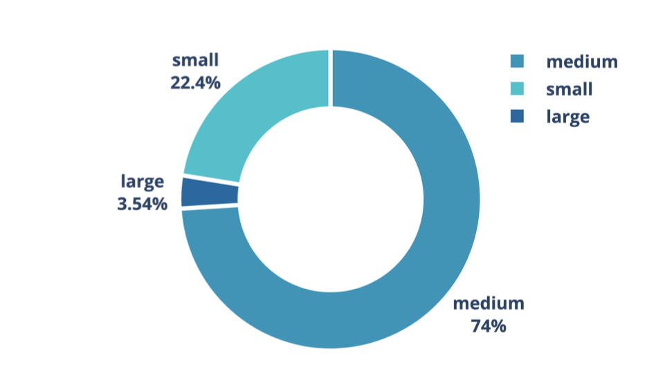 Pie chart showing size distribution of Superbet logo appearances